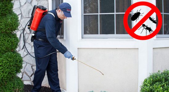 Söke Bit İlaçlama böcek ilaçlama ve haşere kontrolü — ilaclama-tr.com